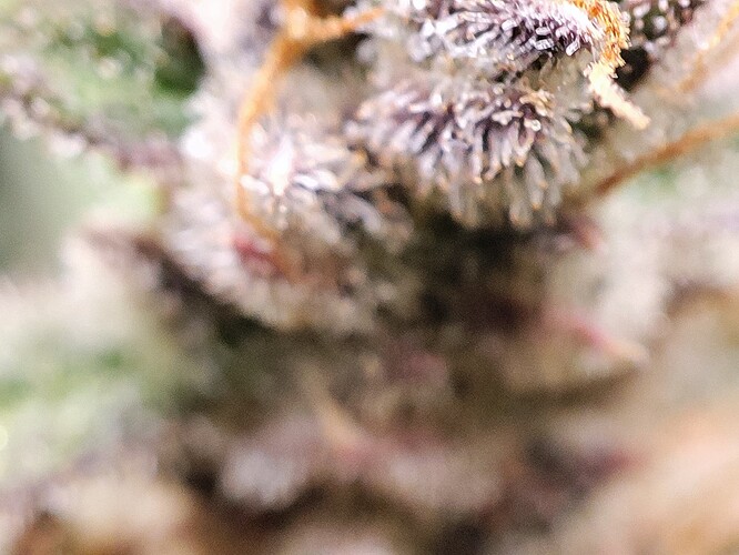 Growreport Bild 19
