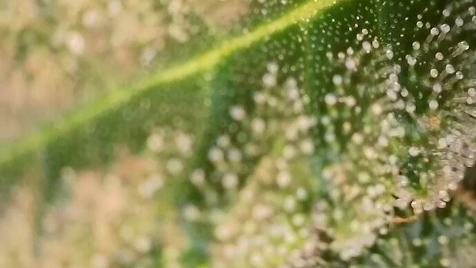 2025-10-22-075119504