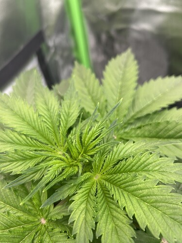 Growreport Bild 10