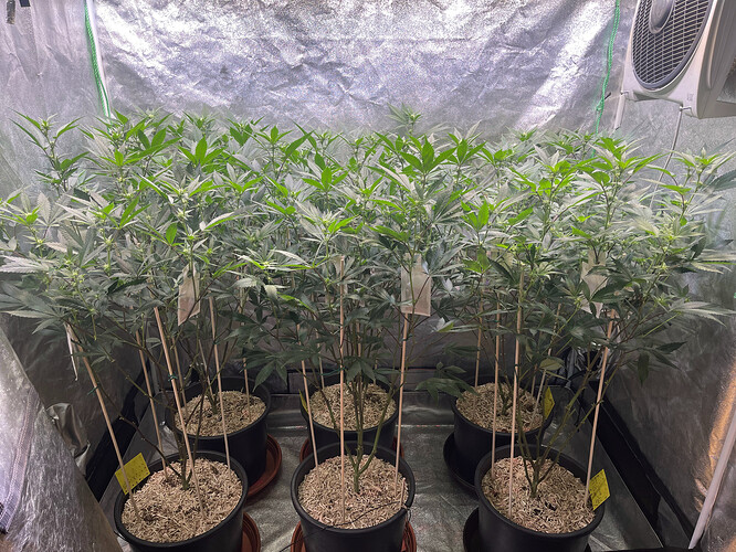 Growreport Bild 10