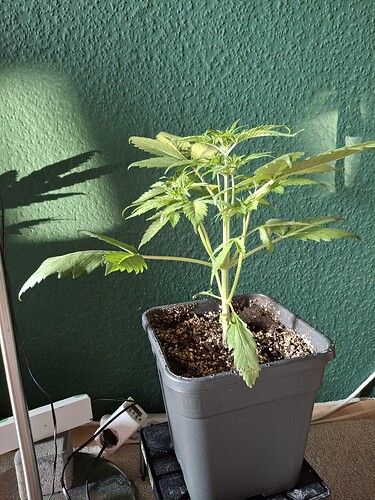 Growreport Bild 24