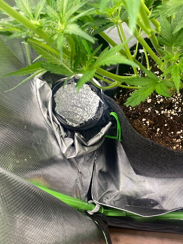 WhatsApp Bild 2024-05-02 um 11.08.35_80f474d2