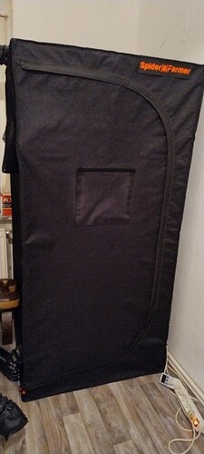 1734625368915699988026922398544