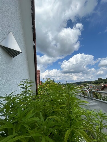 Growreport Bild 6