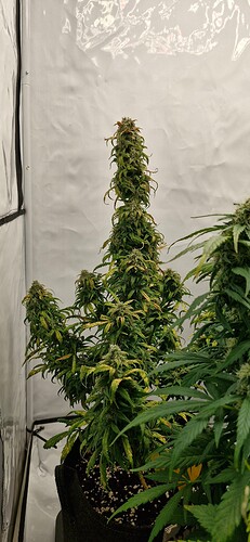Growreport Bild 21