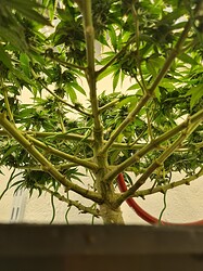 Growreport Bild 88
