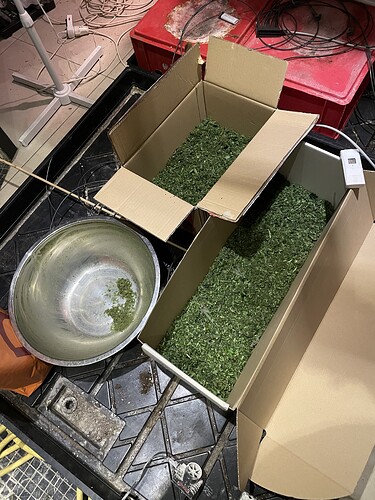 Growreport Bild 19
