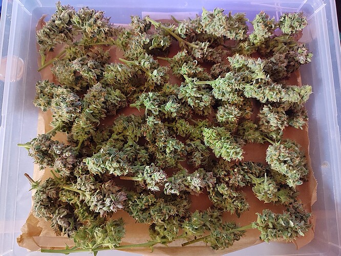 Growreport Bild 46