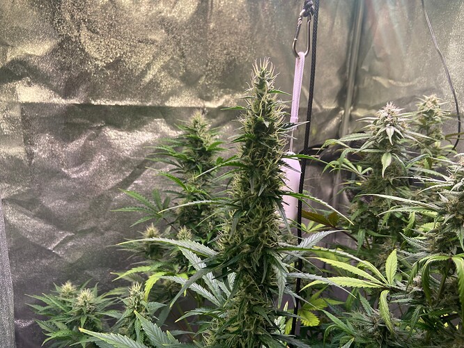 Growreport Bild 4