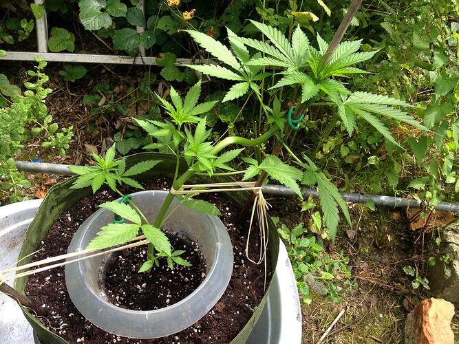 Growreport Bild 19