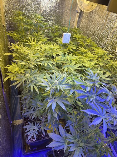 Growreport Bild 23