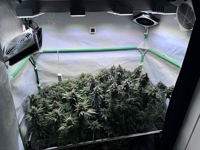 Growreport Bild 18