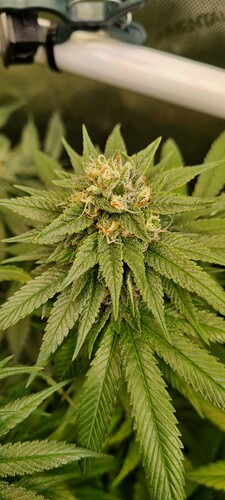 Growreport Bild 10
