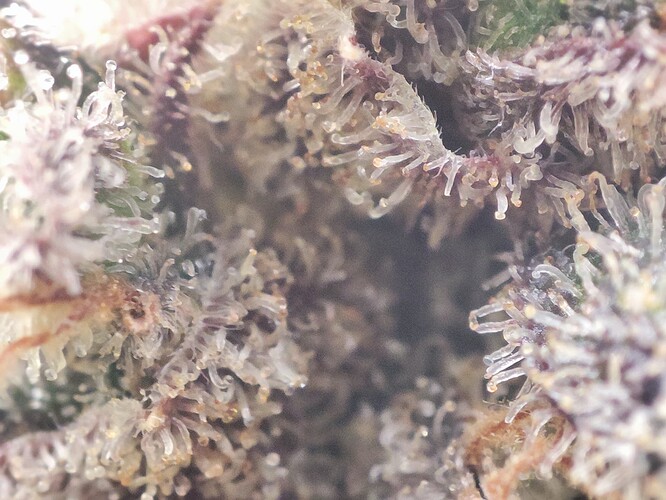 Growreport Bild 13