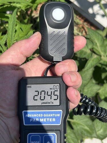Growreport Bild 37