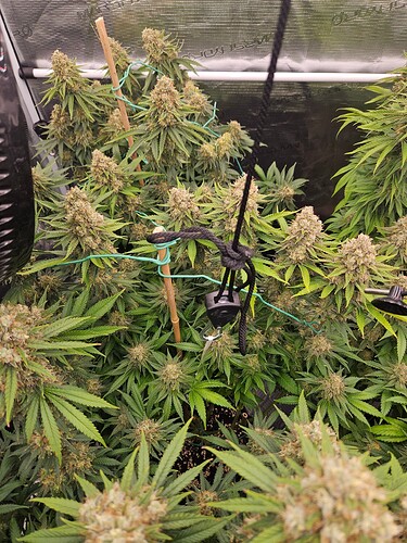 Growreport Bild 17