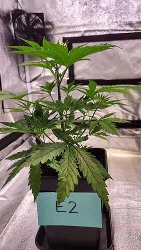 Growreport Bild 21
