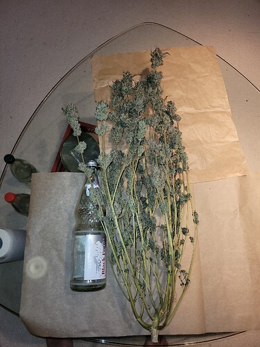 Growreport Bild 10