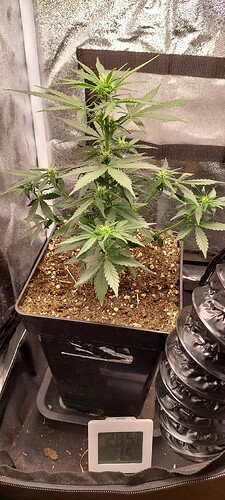 Growreport Bild 5