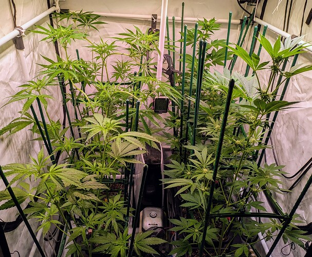 Growreport Bild 2