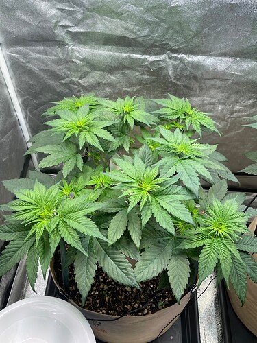 Growreport Bild 22