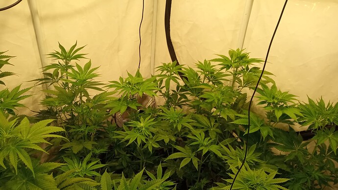 Growreport Bild 17