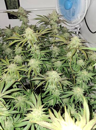Growreport Bild 14