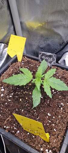 WhatsApp Image 2025-11-28 at 22.49.58 (2)