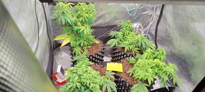 IMG_20251020_100856786_HDR