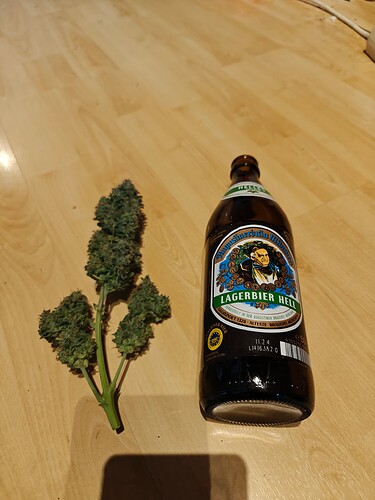 Growreport Bild 13