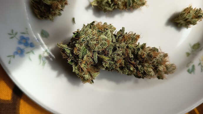 Growreport Bild 58