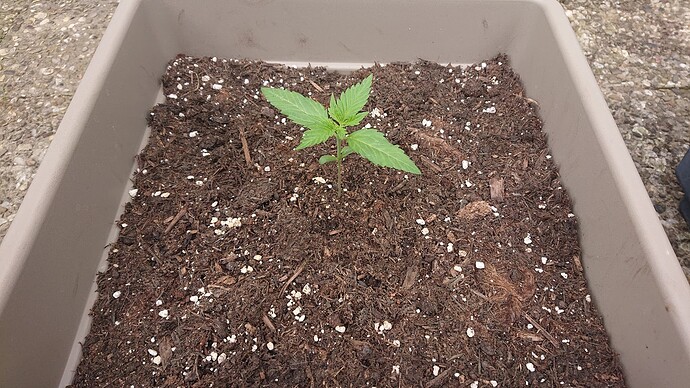 Growreport Bild 26