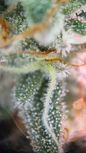 WhatsApp Bild 2024-06-12 um 17.13.26_2df91f59