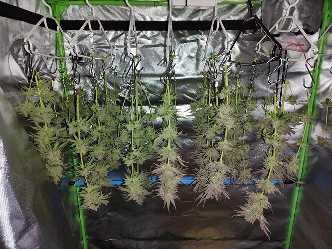 Growreport Bild 4
