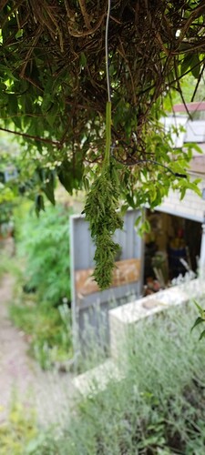 Growreport Bild 6