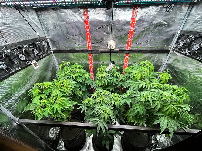 Growreport Bild 2