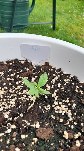 Growreport Bild 21
