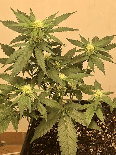 Growreport Bild 10