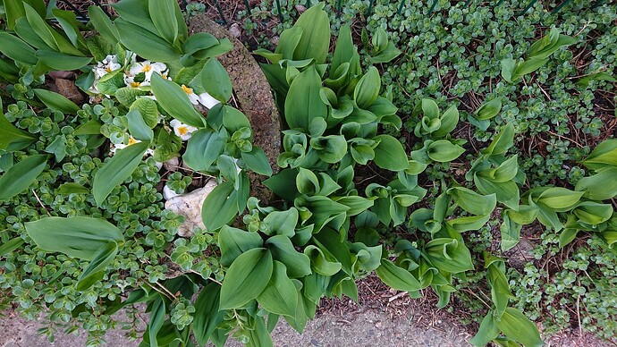 Growreport Bild 33