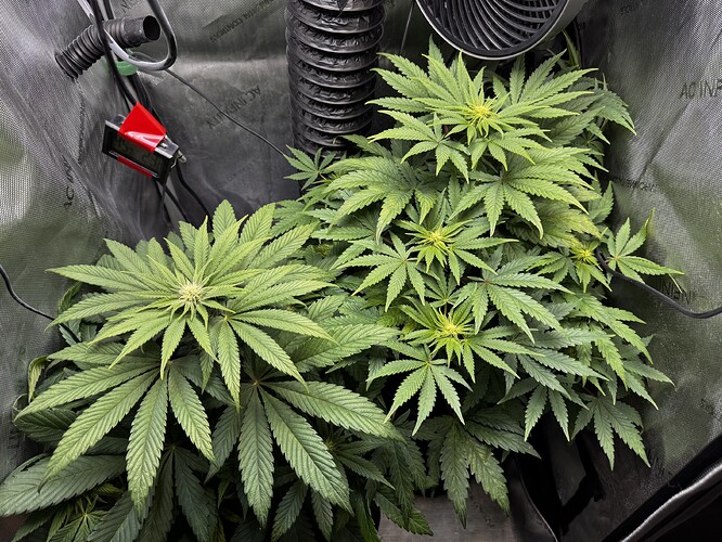 Growreport Bild 3