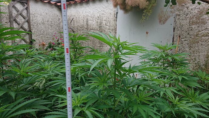 Growreport Bild 20