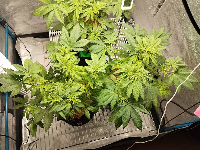 Growreport Bild 24