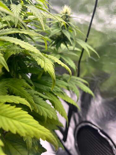Growreport Bild 3