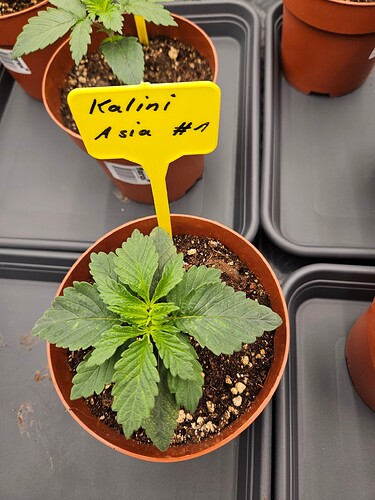 Growreport Bild 14