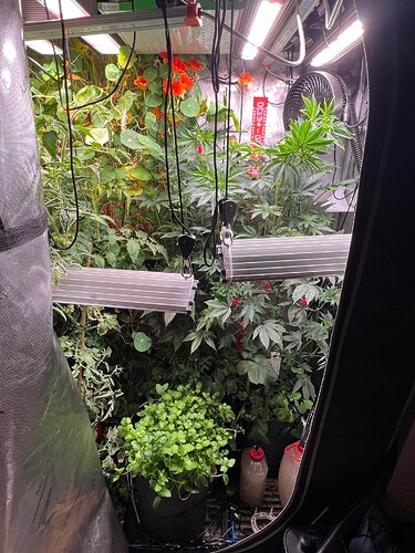 Growreport Bild 15