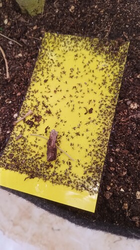 Growreport Bild 10