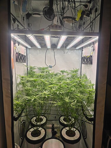 Growreport Bild 23