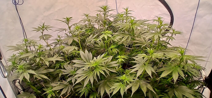 Growreport Bild 14