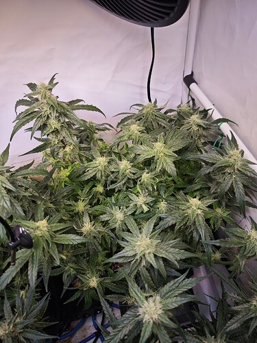 MVIMG_20251103_190438