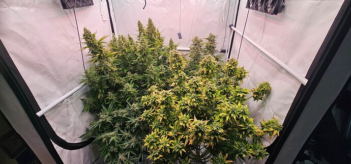 Growreport Bild 2